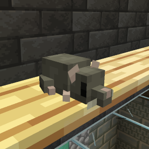 Rat Plushie